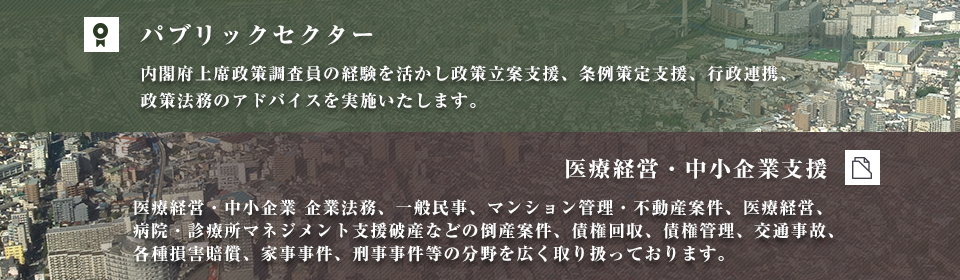 パブリックセクター 医療経営・中小企業支援